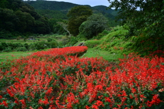 里山