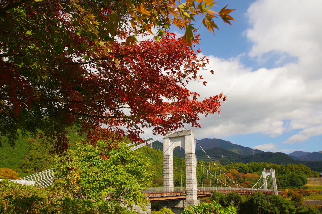 紅葉の向こうの橋