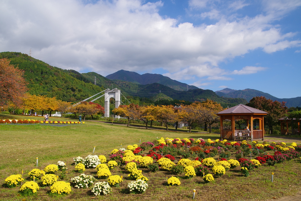 秋の公園の風景