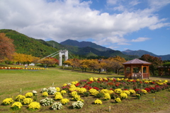 秋の公園の風景