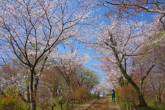 春のハイキング