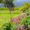 里の風景