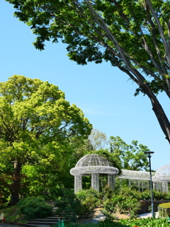 初夏の公園