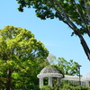 初夏の公園