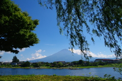 夏の富士
