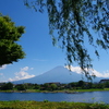 夏の富士