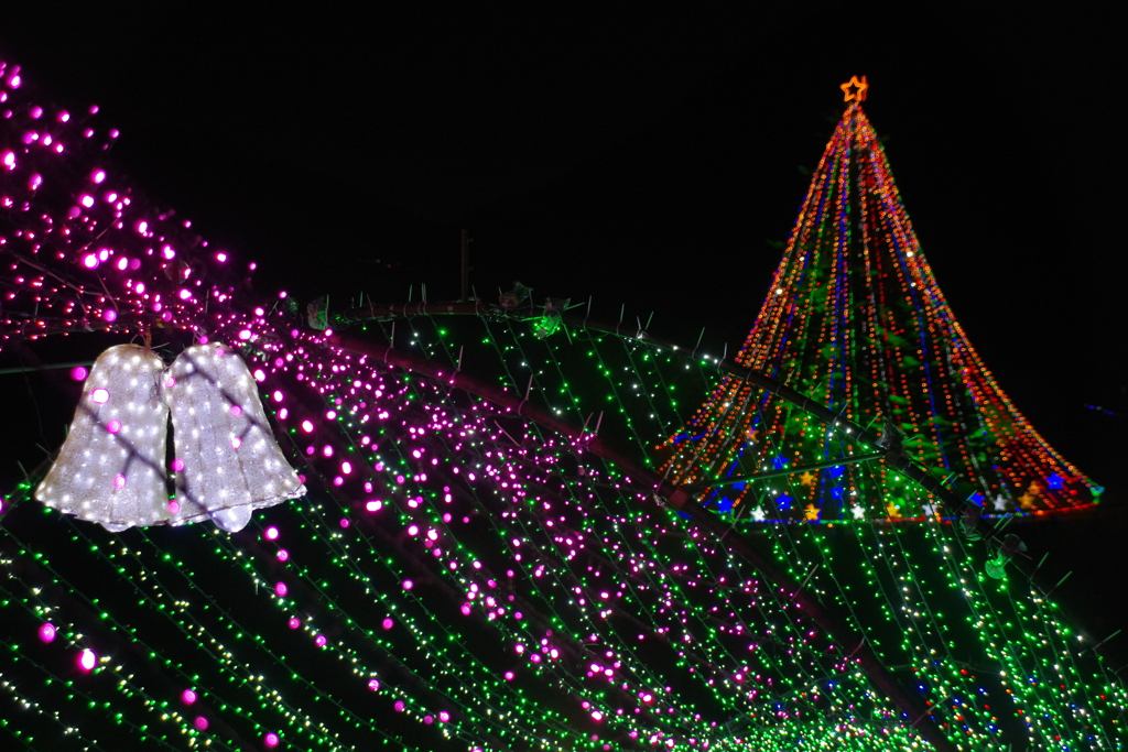 クリスマスツリーの輝き