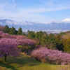 早春の里山