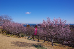 春の風景