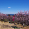 春の風景