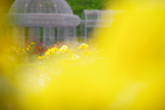 初夏の公園