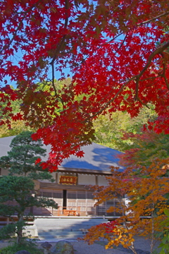 寺の紅葉