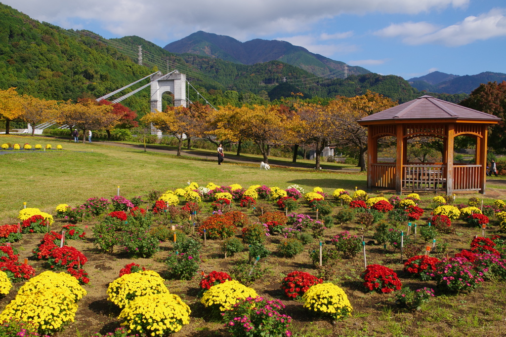 秋の風景