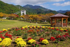 秋の風景