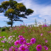 秋の公園