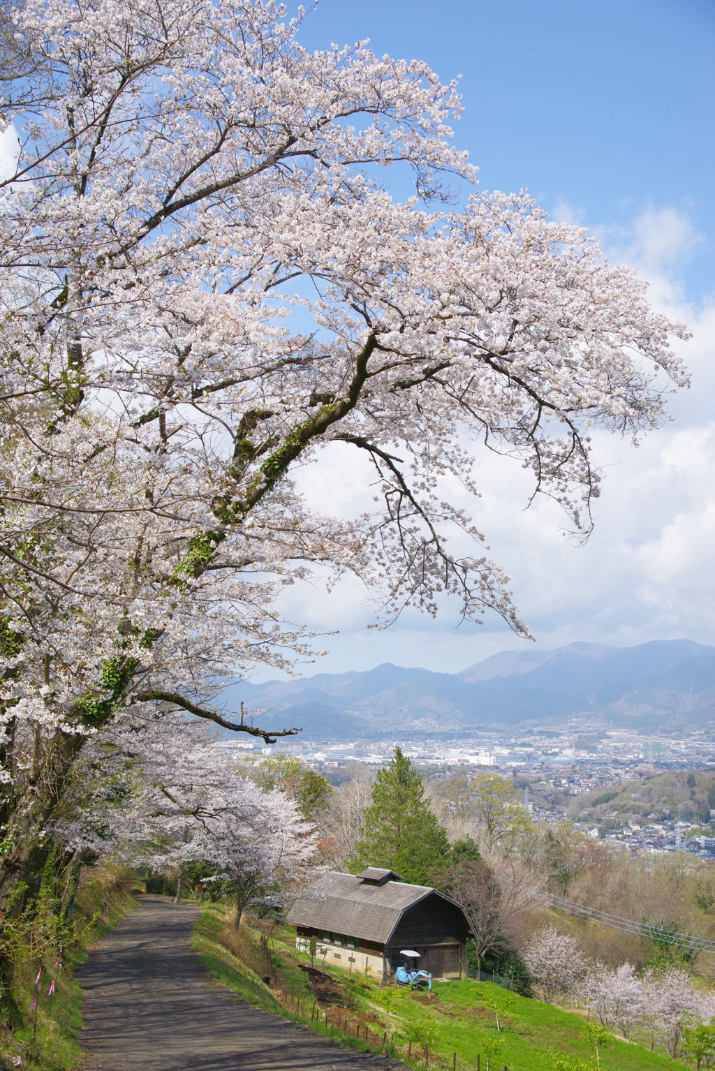春の風景