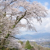 春の風景