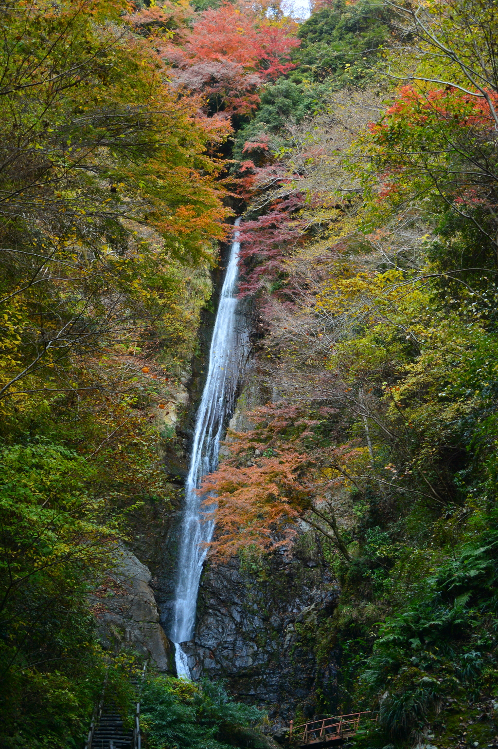 紅葉の滝