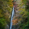 紅葉の滝