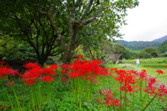 里山の秋