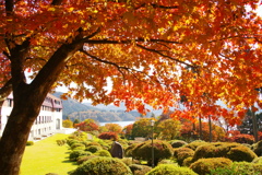 紅葉