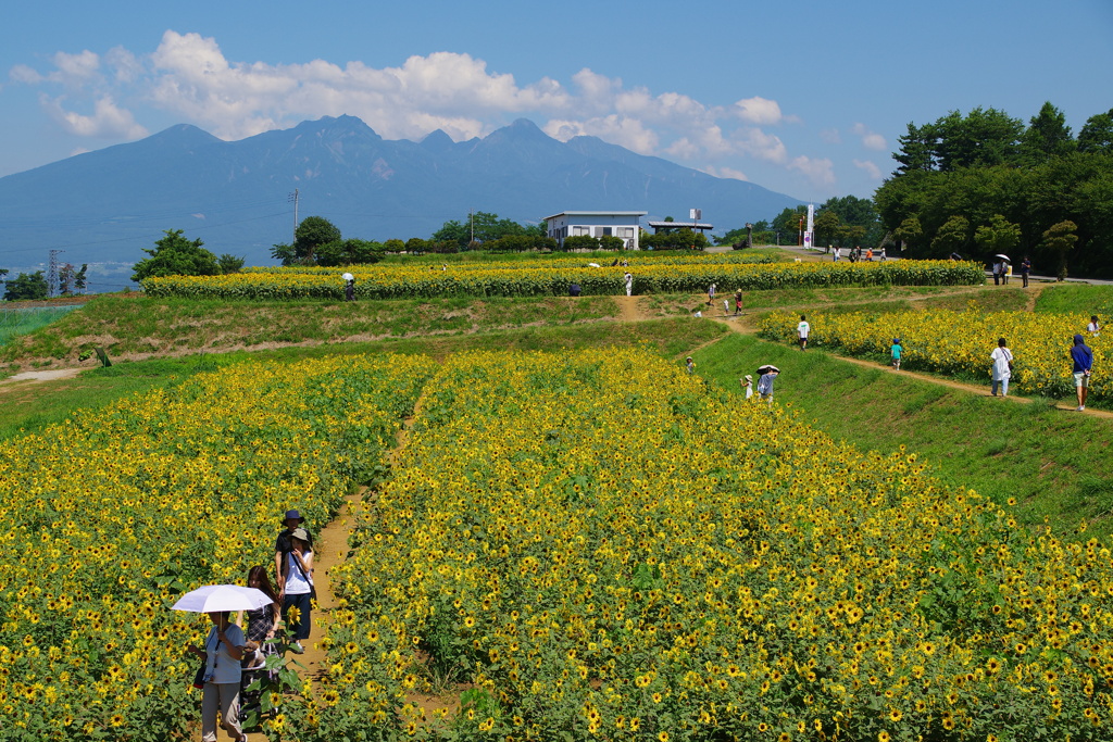 八ヶ岳