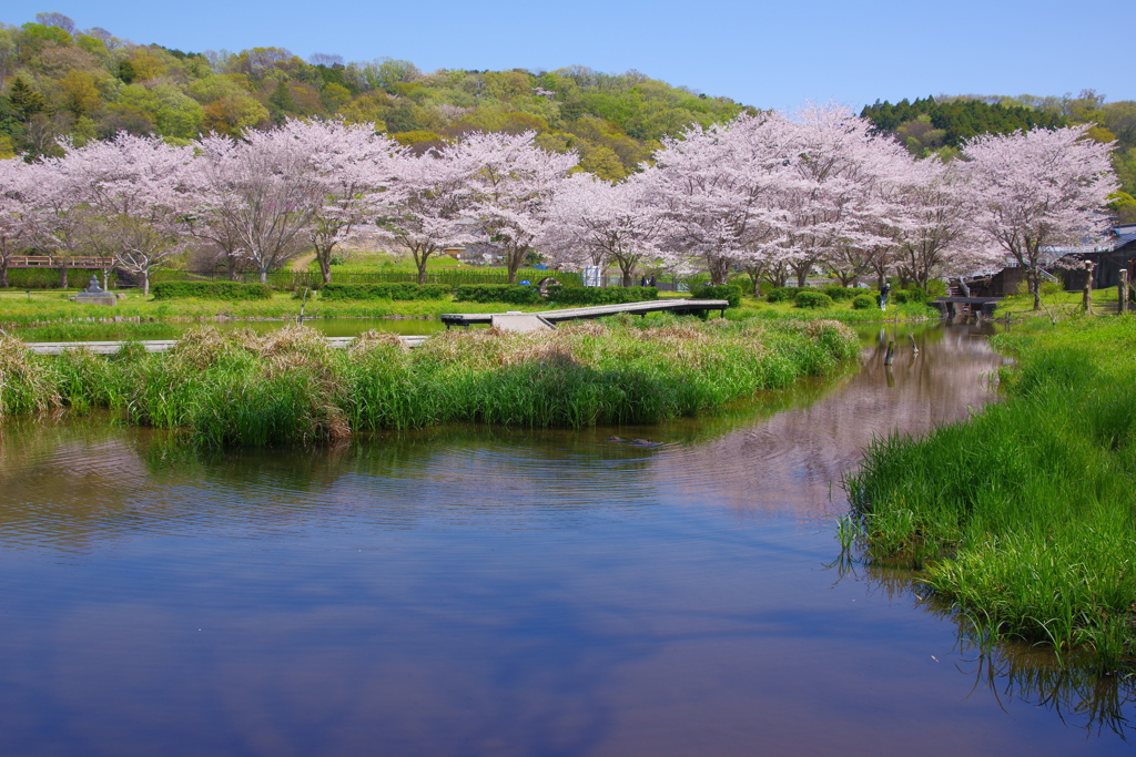 湖畔のはる
