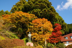秋の庭園