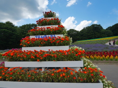 夏の花壇