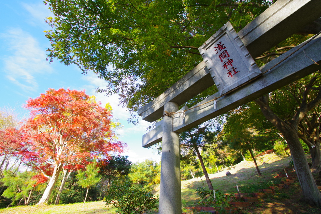 吾妻山の秋