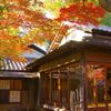 秋の光