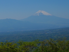 富士