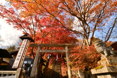 峠の神社の秋