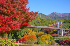 紅葉の橋