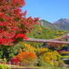 紅葉の橋