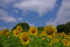 空に向かって