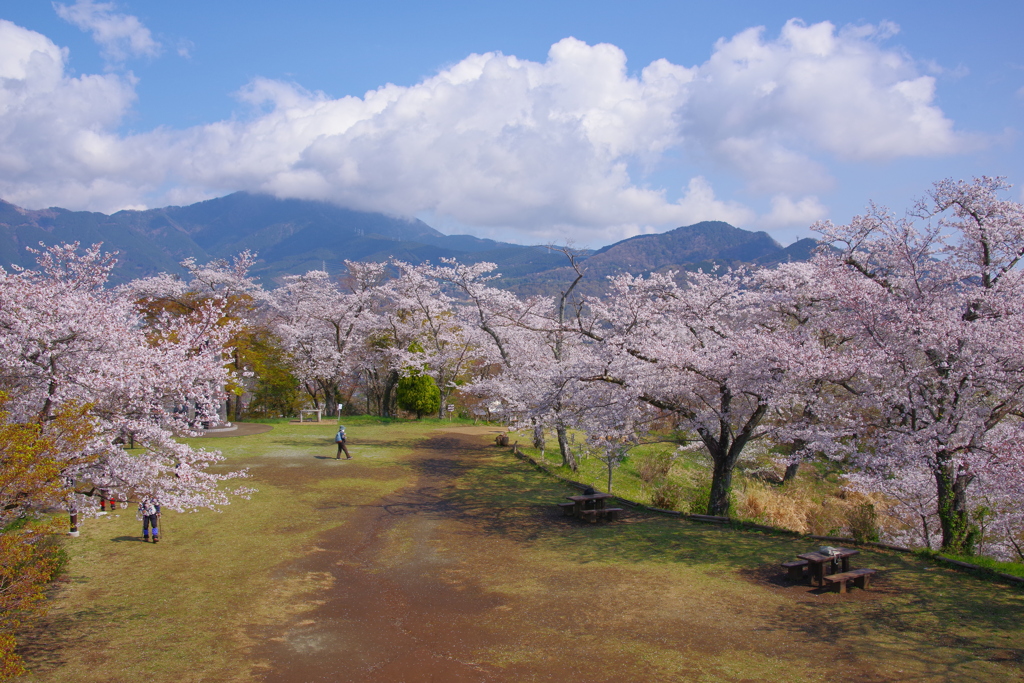 春の広場