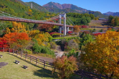 秋の彩りの公園