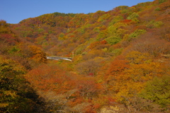 秋の山肌