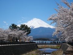 春の富士