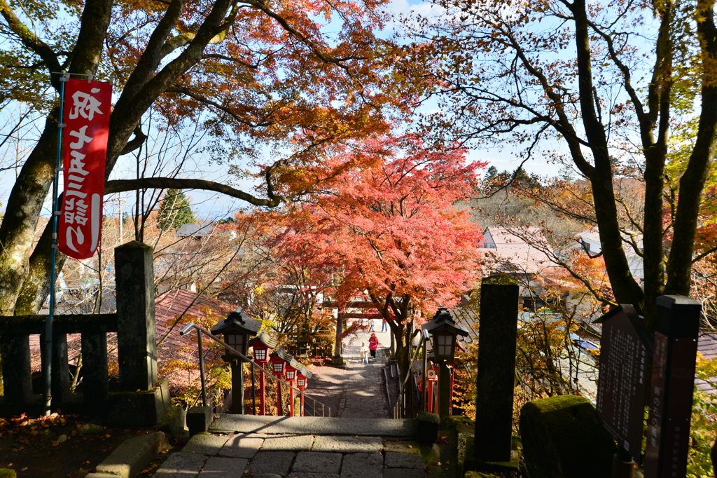 山門の秋