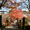 山門の秋
