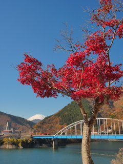 真っ赤な秋と富士