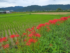 里の秋