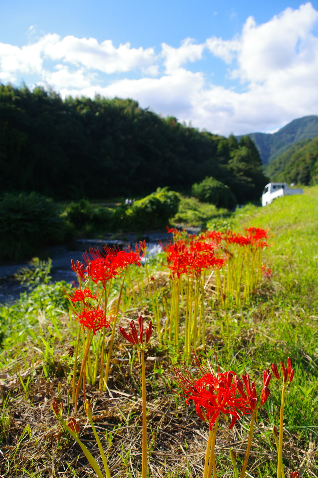 秋の川べり