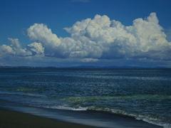 海
