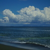 海