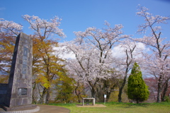 山頂のはる