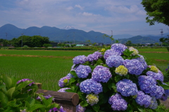 里の風景