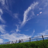 秋空のサイクリング